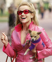 Reese Witherspoon is legally blonde.